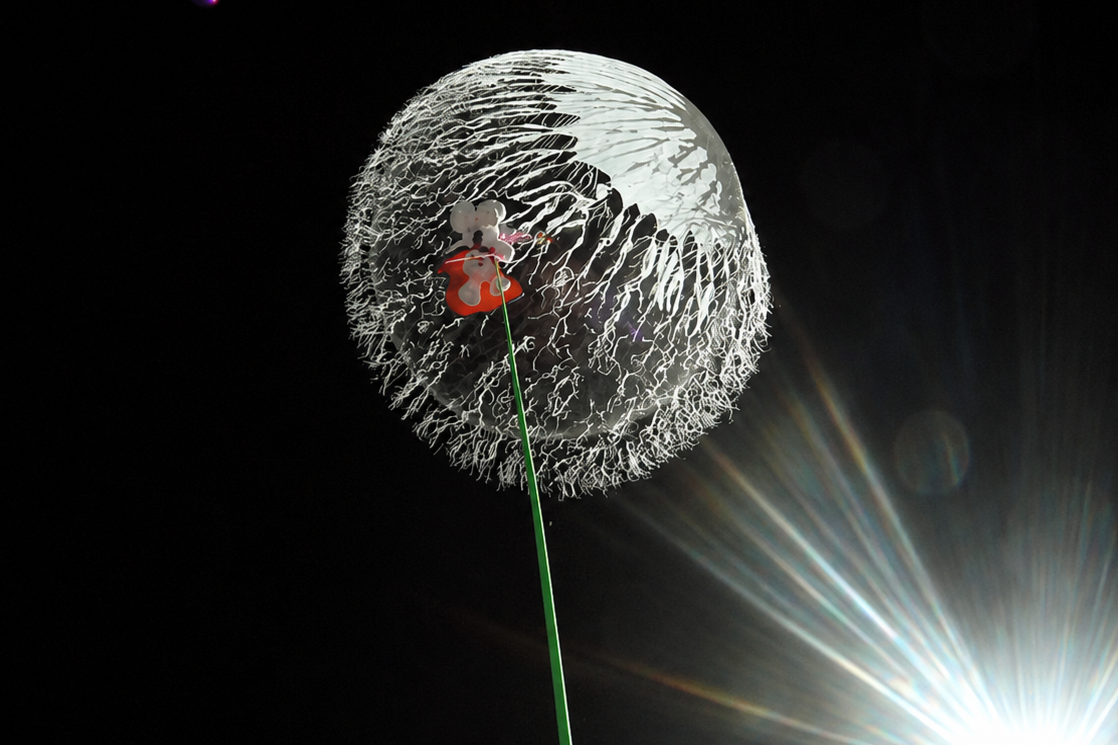 High Altitude Weather Balloons – HAB